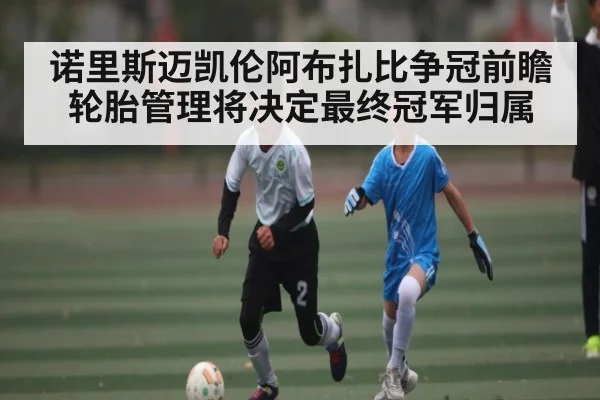 诺里斯迈凯伦阿布扎比争冠前瞻 轮胎管理将决定最终冠军归属